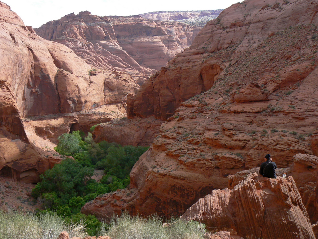 The Paria River Canyon